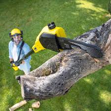 Best Aeration Services  in Gladstone, OR