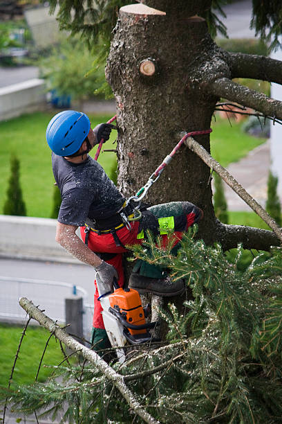 Best Leaf Removal  in Gladstone, OR